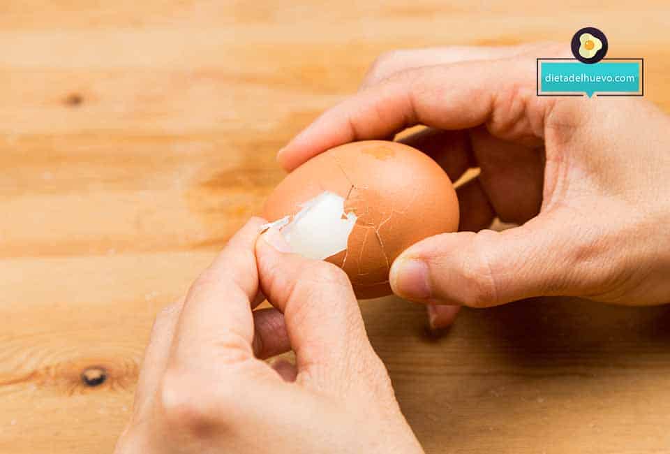 Huevera Para Cocer Huevos Duros Omelettes Apagado Automático