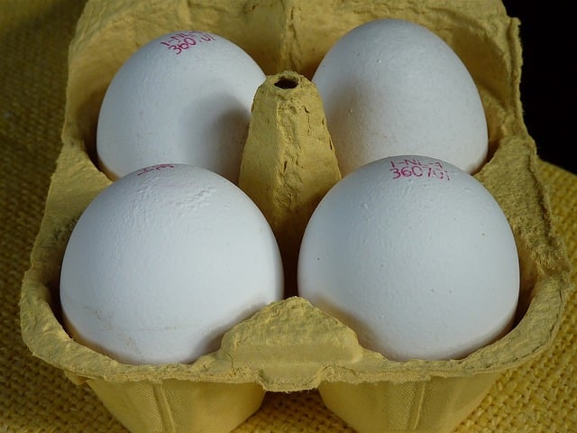 color de los huevos de gallina
