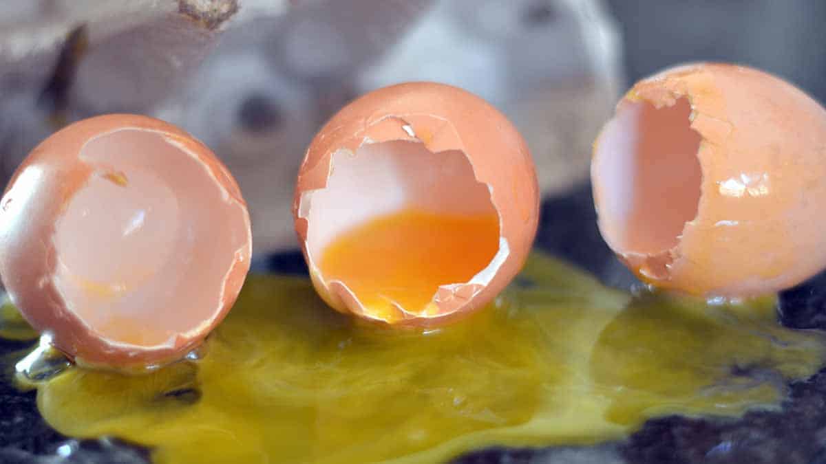 razones para desayunar huevos