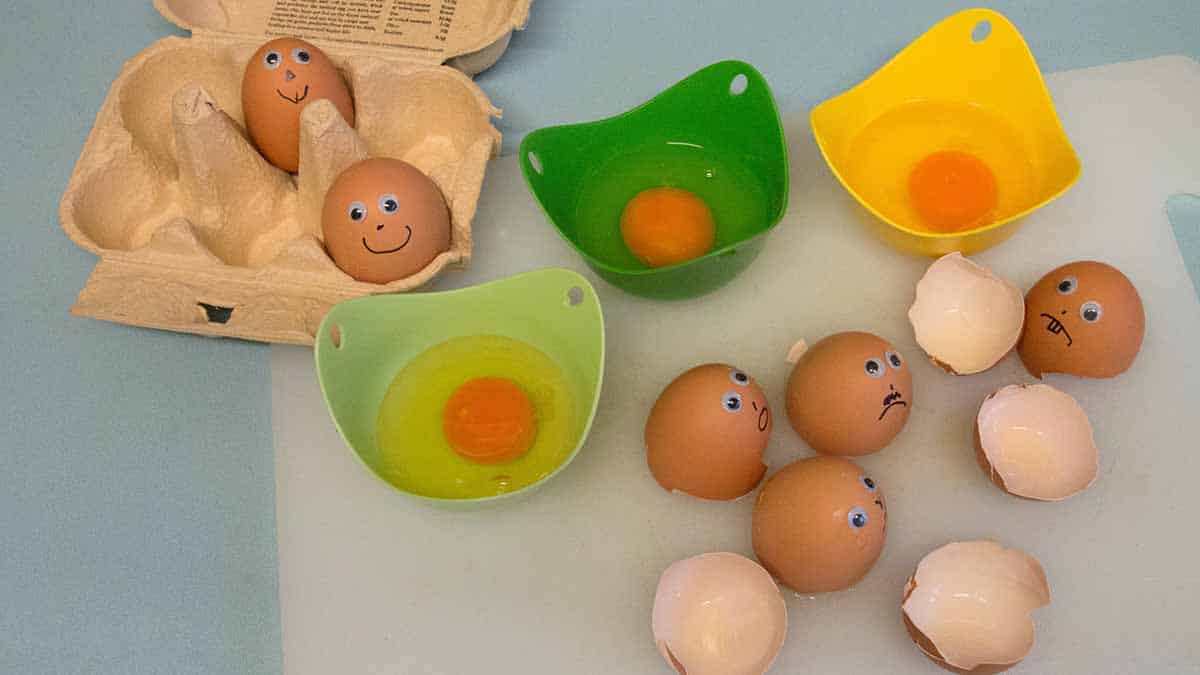 composición y estructura del huevo