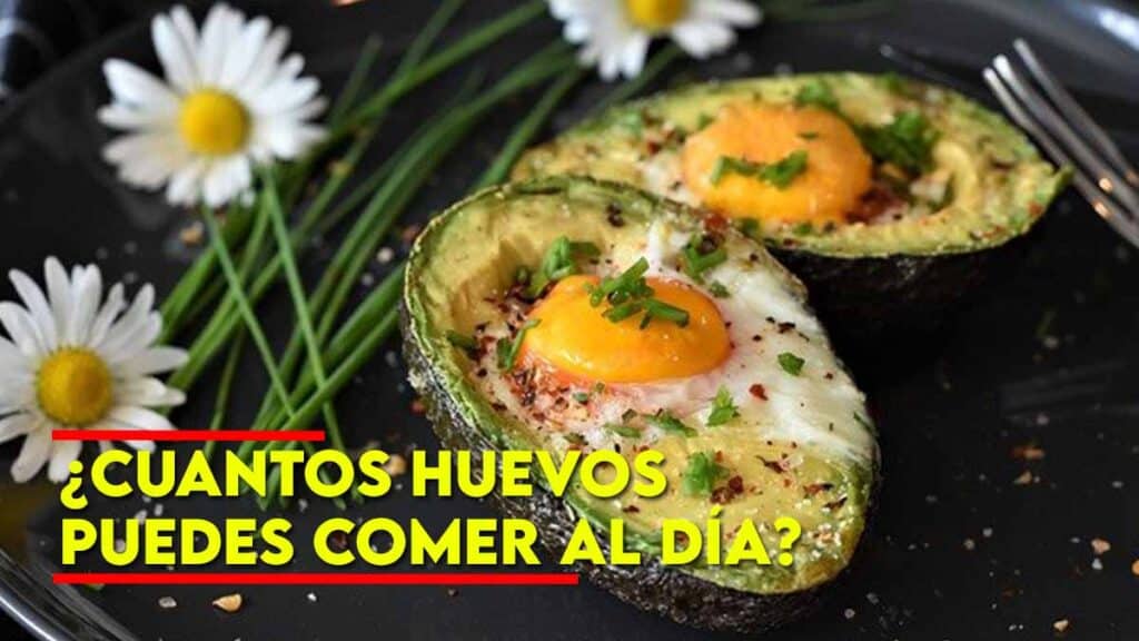 ¿cuántos Huevos Puedes Comer Al Día Un Experto Revela La Respuesta