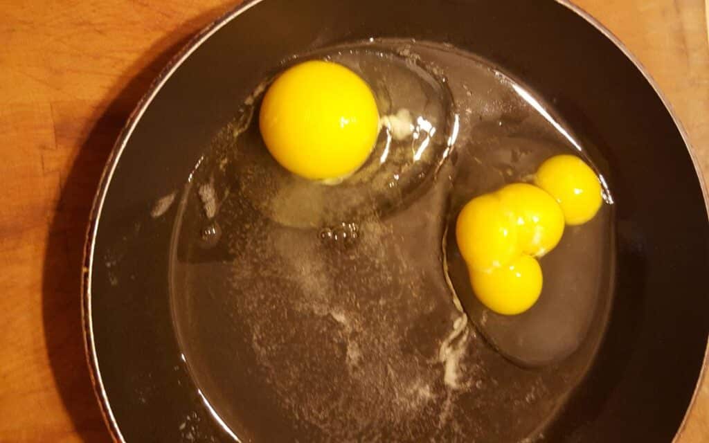 4 yemas en un huevo
