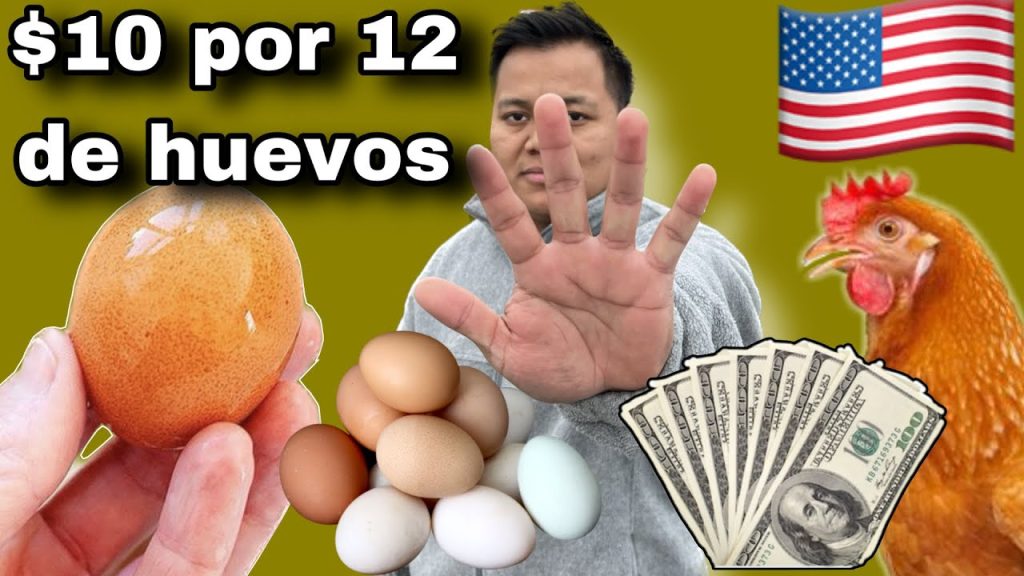 Descubre Cómo Conseguir La Mejor Relación Calidad Precio En La Compra De Docenas De Huevos 4345